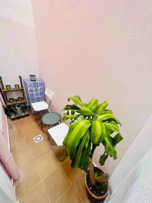 Graca Home Lisboa المظهر الخارجي الصورة